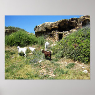 Poster Retiro de Cabras