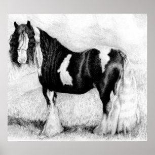 Poster Retrato aciganado do cavalo da espiga