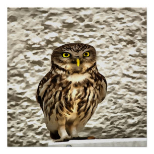 Pôster Retrato Artístico Da Pequena Coruja Marrom