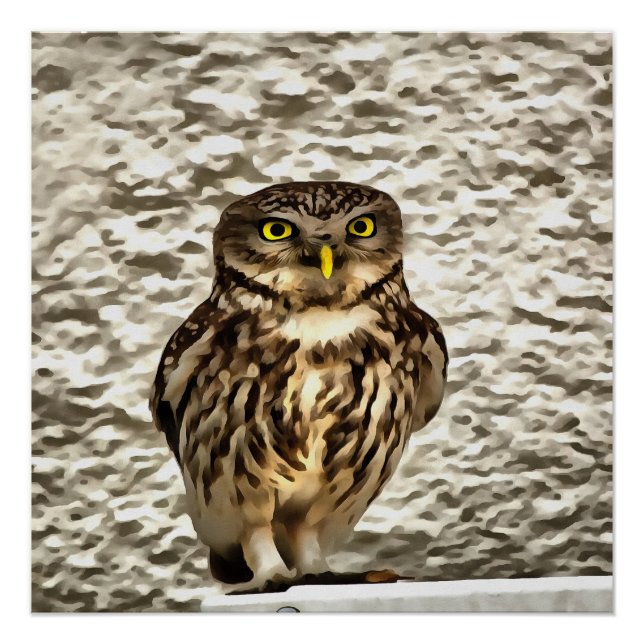 Pôster Retrato Artístico Da Pequena Coruja Marrom (Frente)