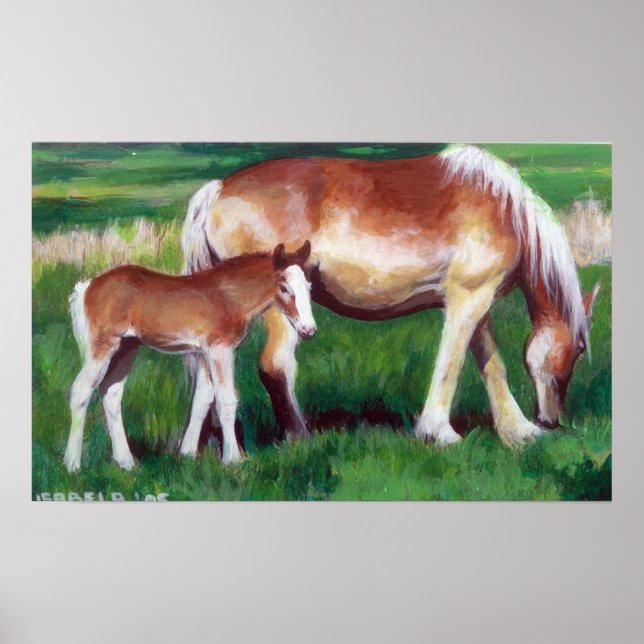 Poster Retrato belga Mare e Foal Horse (Frente)