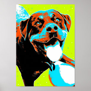 Poster Retrato brilhante e do divertimento de Rottweiler