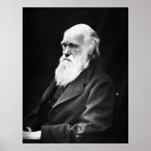 Poster Retrato Charles Darwin