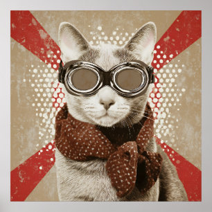 Poster Retrato da Bandeira Retro com Gato de Óculos e Cac