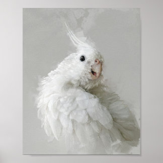 Poster Retrato da Cockatiel 012