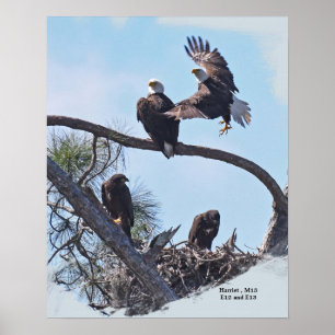 Poster Retrato da família SWFL E12, E13 Harriet e M15