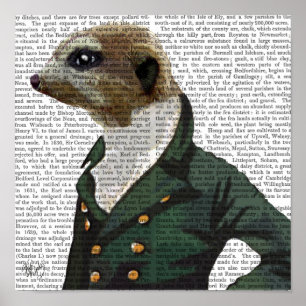 Poster Retrato Dandy Meerkat