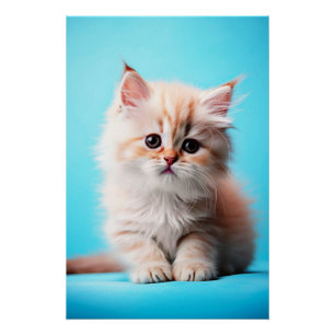Pôster Retrato de Adorável Gatinho Branco-52106