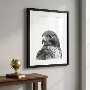 Poster Retrato de Águia-Red-Tailed em Preto e Branco
