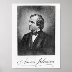 Pôster Retrato de Andrew Johnson