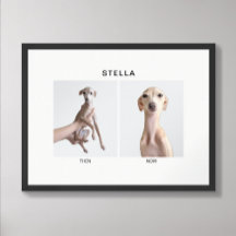 Retrato de Animal de Estimação Personalizado | Ant