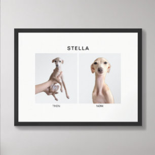 Poster Retrato de Animal de Estimação Personalizado Ant