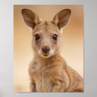 Poster Retrato de Bebê Canguru – Parede de Animais de Ber
