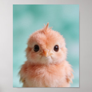 Poster Retrato de Bebê Pavão Arte de Parede para Berçário