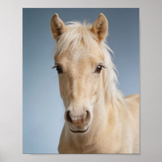 Poster Retrato de Bebê Pônei Palomino – Animalzinho de Be