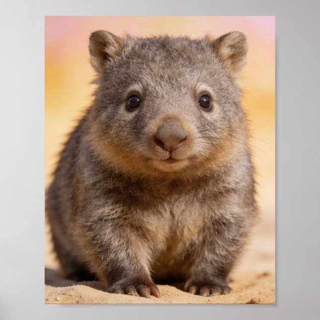 Poster Retrato de Bebê Wombat Arte de Parede para Berçári (Frente)