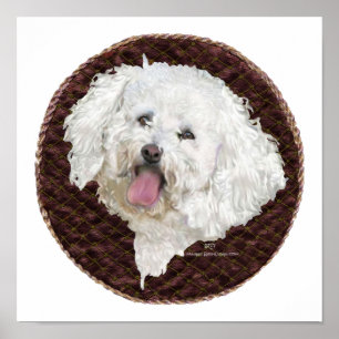 Poster Retrato de Bichon Frise