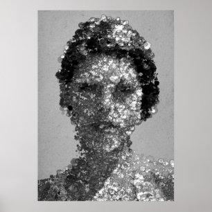 Pôster Retrato de Blanka Vlasic
