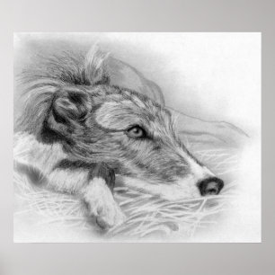 Pôster Retrato de Cachorro de Lurcher