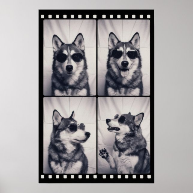 Poster Retrato de Cachorro Husky (Frente)