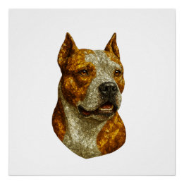 Pôster Retrato de Cachorro Pitbull