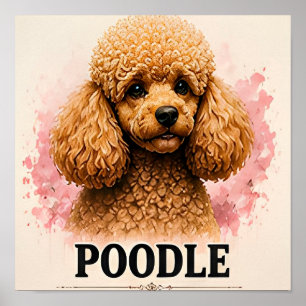 Poster Retrato de Cachorro Premium de Poodle Elegante