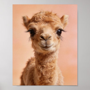 Poster Retrato de Camelo Bebê – Arte para Parede de Berçá