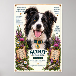 Poster Retrato de Cão Border Collie | Scout Nº 16