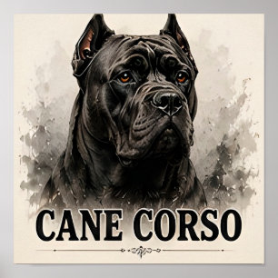 Poster Retrato de Cão Guardião Poderoso Cane Corso