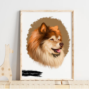 Poster Retrato de Cão-Lapão Finlandês   Parede de Retrato