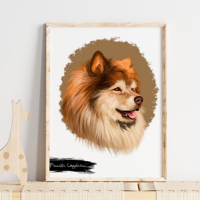 Poster Retrato de Cão-Lapão Finlandês | Parede de Retrato (Criador carregado)
