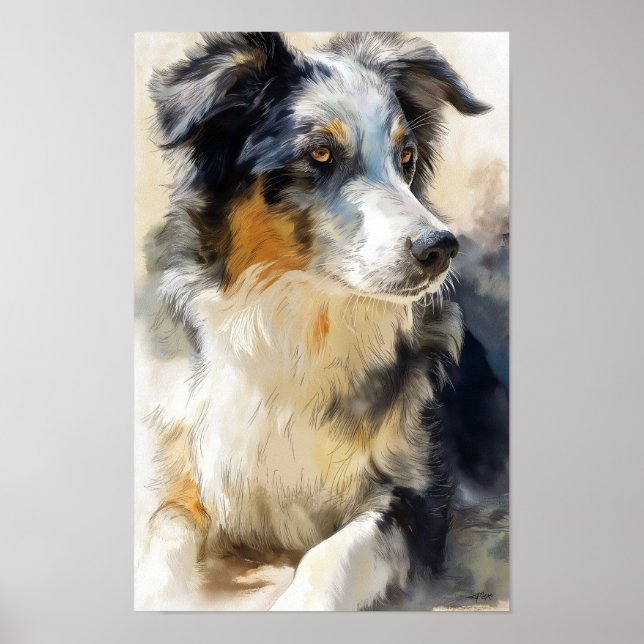 Poster retrato de cão pastor australiano (Frente)