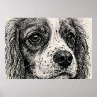 Poster Retrato de Cavalier King Charles Spaniel com Lápis