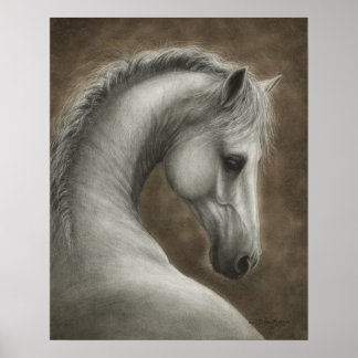 Poster Retrato de Cavalo Branco Pintado à Mão