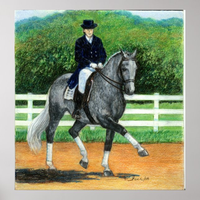 Poster Retrato de Cavalo de Dresagem de Warmblood Belga (Frente)
