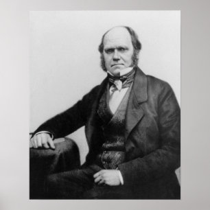 Poster Retrato de Charles Darwin, 1854