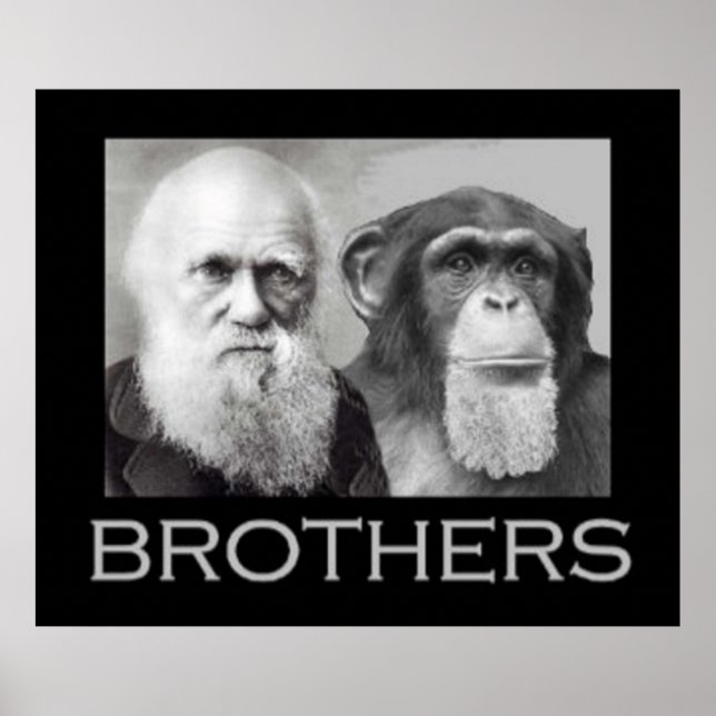Poster Retrato de Charles Darwin e Ape (Frente)