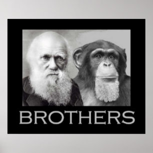 Poster Retrato de Charles Darwin e do macaco