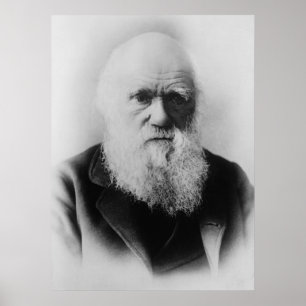 Pôster Retrato de Charles Darwin por Elliott e por