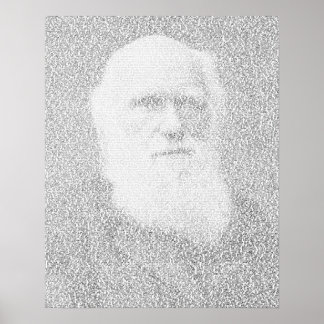 Pôster Retrato de Darwin feito do texto "Origem das Espéc