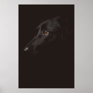 POSTER RETRATO DE DOG