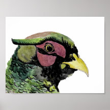 Retrato de Faisão