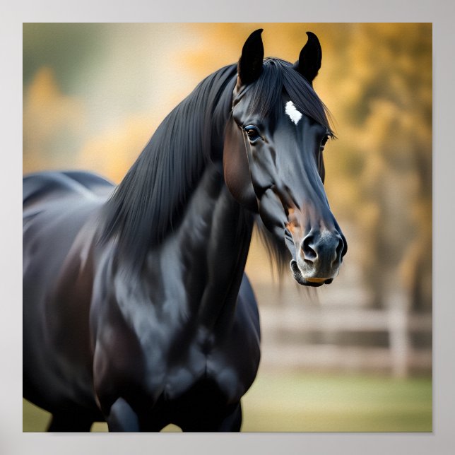 Poster Retrato de Fecho de um Cavalo Negro (Frente)