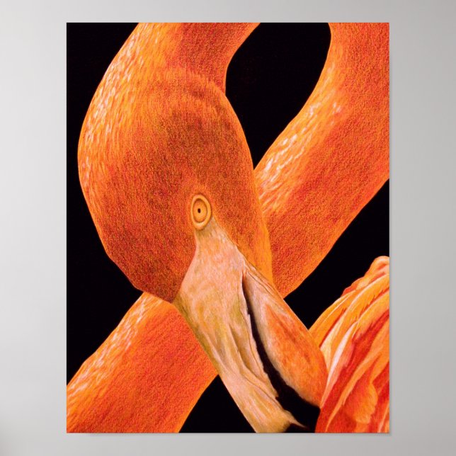 Poster Retrato de Flamingo (Frente)