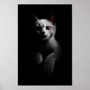 Poster Retrato de Gato/Gato/Gatinho