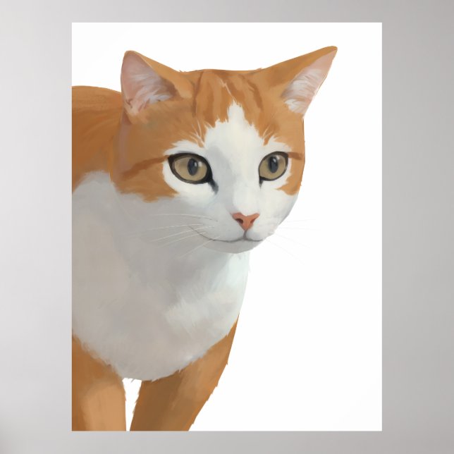 Poster Retrato de Gato Laranja e Branco (Frente)