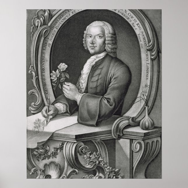 Pôster Retrato de Georg Dionysius Ehret (1710-70), gravid (Frente)