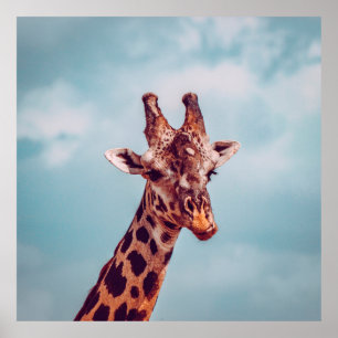 POSTER RETRATO DE GIRAFFE