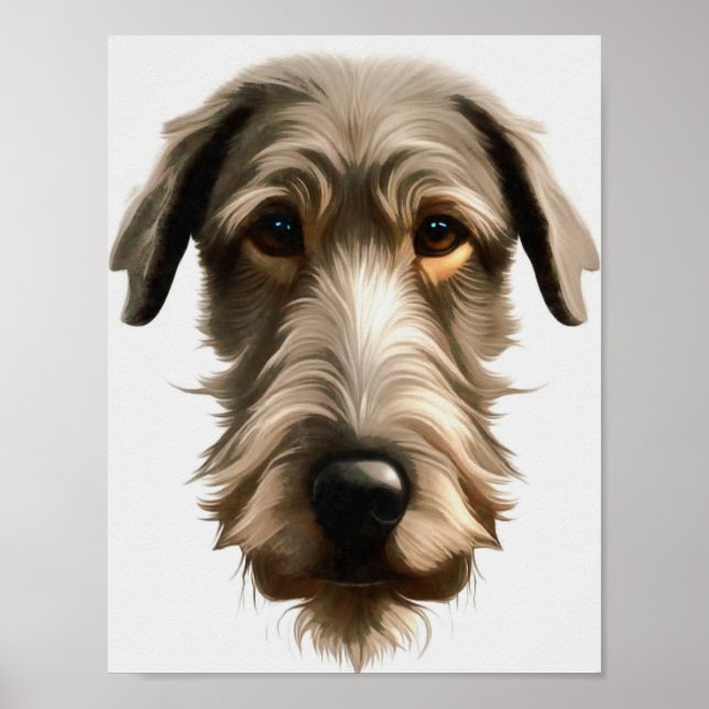 Poster Retrato de Irish Wolfhound isolado em  (Frente)