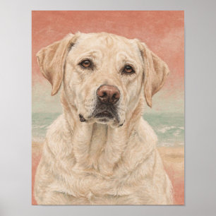 Poster Retrato de Labrador Retriever Amarelo em Coral e S